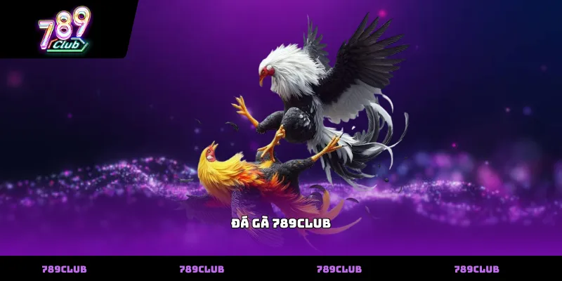 Đá gà 789club